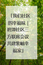 我们社区的幸福味｜碧潭社区三方联席会议共建紫岫幸福家