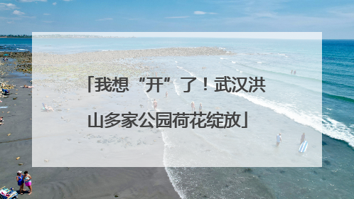我想“开”了！武汉洪山多家公园荷花绽放