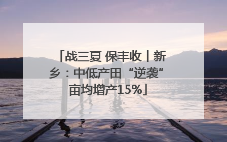 战三夏 保丰收丨新乡：中低产田“逆袭” 亩均增产15%