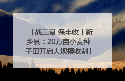 战三夏 保丰收丨新乡县：20万亩小麦种子田开启大规模收割