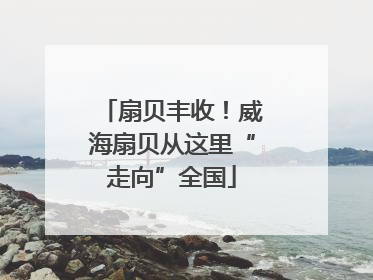 扇贝丰收！威海扇贝从这里“走向”全国