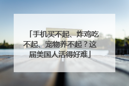 手机买不起、炸鸡吃不起、宠物养不起？这届美国人活得好难