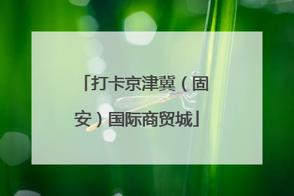 打卡京津冀（固安）国际商贸城