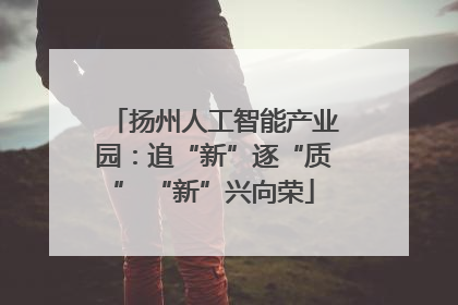扬州人工智能产业园：追“新”逐“质” “新”兴向荣