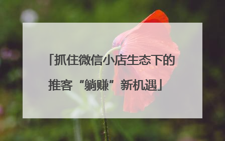 抓住微信小店生态下的推客“躺赚”新机遇