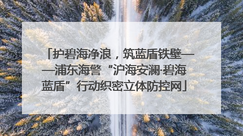 护碧海净浪，筑蓝盾铁壁——浦东海警“沪海安澜·碧海蓝盾”行动织密立体防控网