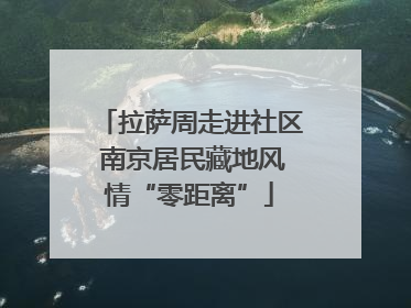 拉萨周走进社区 南京居民藏地风情“零距离”