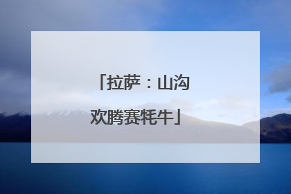 拉萨：山沟欢腾赛牦牛