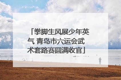 拳脚生风展少年英气 青岛市六运会武术套路赛圆满收官