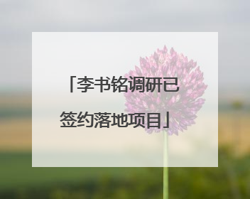 李书铭调研已签约落地项目