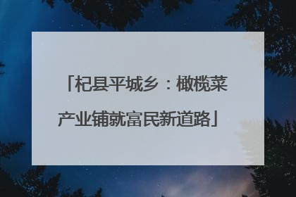 杞县平城乡：橄榄菜产业铺就富民新道路