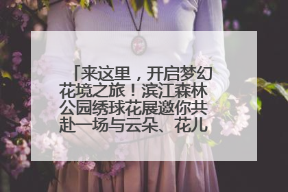 来这里，开启梦幻花境之旅！滨江森林公园绣球花展邀你共赴一场与云朵、花儿的浪漫之约