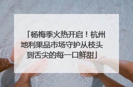 杨梅季火热开启！杭州地利果品市场守护从枝头到舌尖的每一口鲜甜