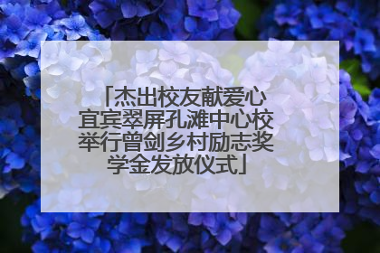 杰出校友献爱心 宜宾翠屏孔滩中心校举行曾剑乡村励志奖学金发放仪式