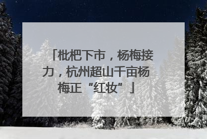 枇杷下市，杨梅接力，杭州超山千亩杨梅正“红妆”