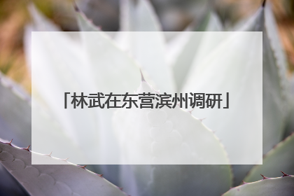 林武在东营滨州调研