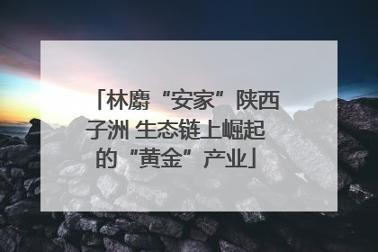 林麝“安家”陕西子洲 生态链上崛起的“黄金”产业