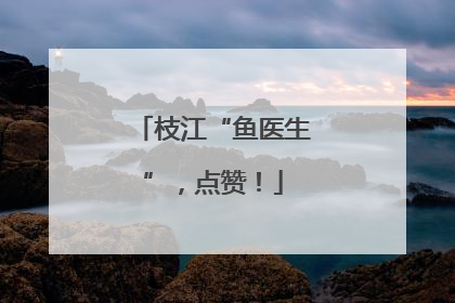 枝江“鱼医生”，点赞！