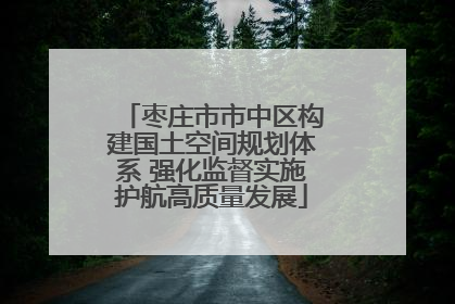 枣庄市市中区构建国土空间规划体系 强化监督实施护航高质量发展