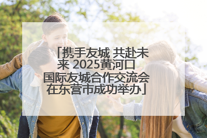 携手友城 共赴未来 2025黄河口国际友城合作交流会在东营市成功举办