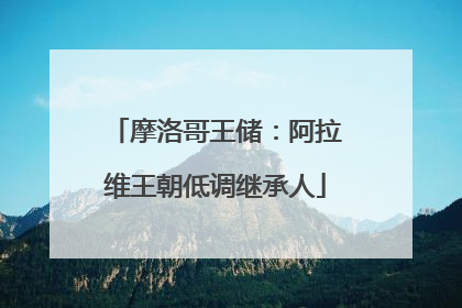 摩洛哥王储：阿拉维王朝低调继承人