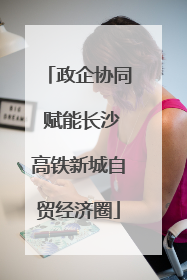 政企协同 赋能长沙高铁新城自贸经济圈