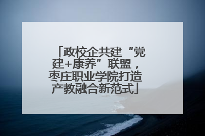 政校企共建“党建+康养”联盟，枣庄职业学院打造产教融合新范式