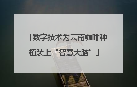 数字技术为云南咖啡种植装上“智慧大脑”