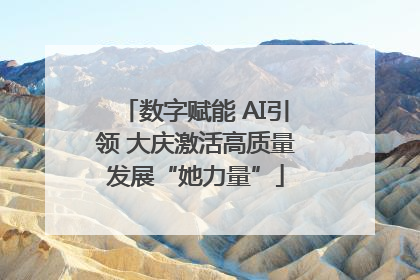 数字赋能 AI引领 大庆激活高质量发展“她力量”