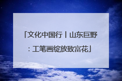 文化中国行丨山东巨野：工笔画绽放致富花