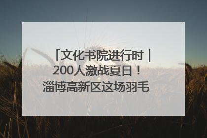 文化书院进行时｜200人激战夏日！淄博高新区这场羽毛球比赛太酷