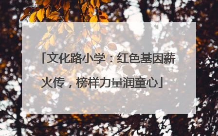 文化路小学：红色基因薪火传，榜样力量润童心