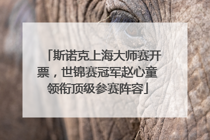 斯诺克上海大师赛开票，世锦赛冠军赵心童领衔顶级参赛阵容