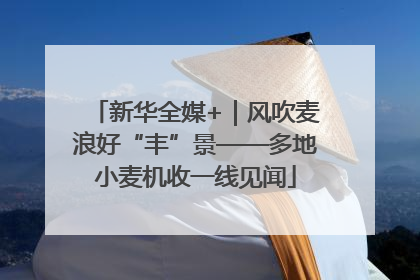 新华全媒+｜风吹麦浪好“丰”景——多地小麦机收一线见闻