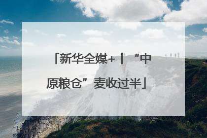 新华全媒+丨“中原粮仓”麦收过半