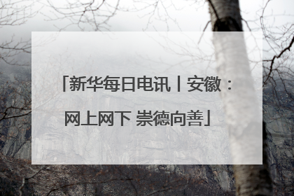 新华每日电讯丨安徽：网上网下 崇德向善