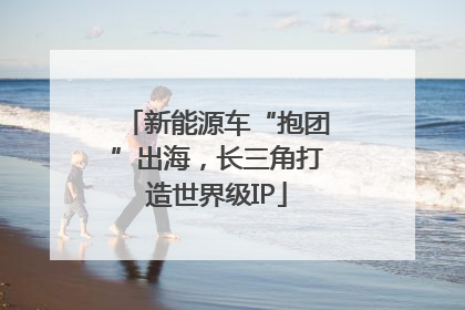 新能源车“抱团”出海，长三角打造世界级IP