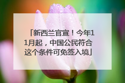 新西兰官宣！今年11月起，中国公民符合这个条件可免签入境
