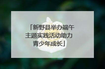 新野县举办端午主题实践活动助力青少年成长