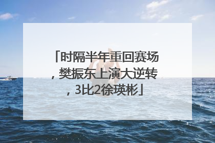 时隔半年重回赛场，樊振东上演大逆转，3比2徐瑛彬