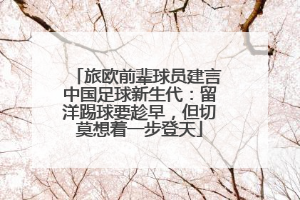 旅欧前辈球员建言中国足球新生代：留洋踢球要趁早，但切莫想着一步登天