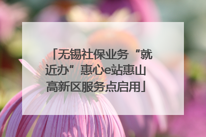 无锡社保业务“就近办”惠心e站惠山高新区服务点启用