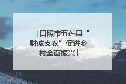 日照市五莲县“财政支农”促进乡村全面振兴