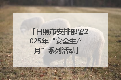 日照市安排部署2025年“安全生产月”系列活动