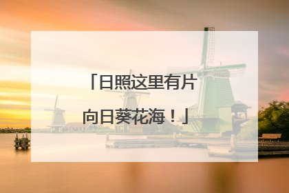 日照这里有片向日葵花海！