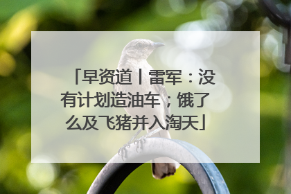 早资道丨雷军：没有计划造油车；饿了么及飞猪并入淘天