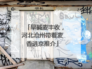 旱碱麦丰收，河北沧州带着麦香进京推介