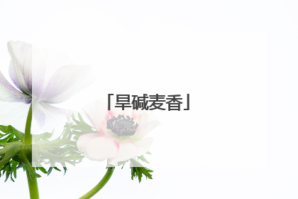 旱碱麦香