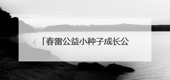 春雷公益小种子成长公益基金在坪上完小设立