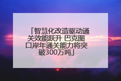智慧化改造驱动通关效能跃升 巴克图口岸年通关能力将突破300万吨